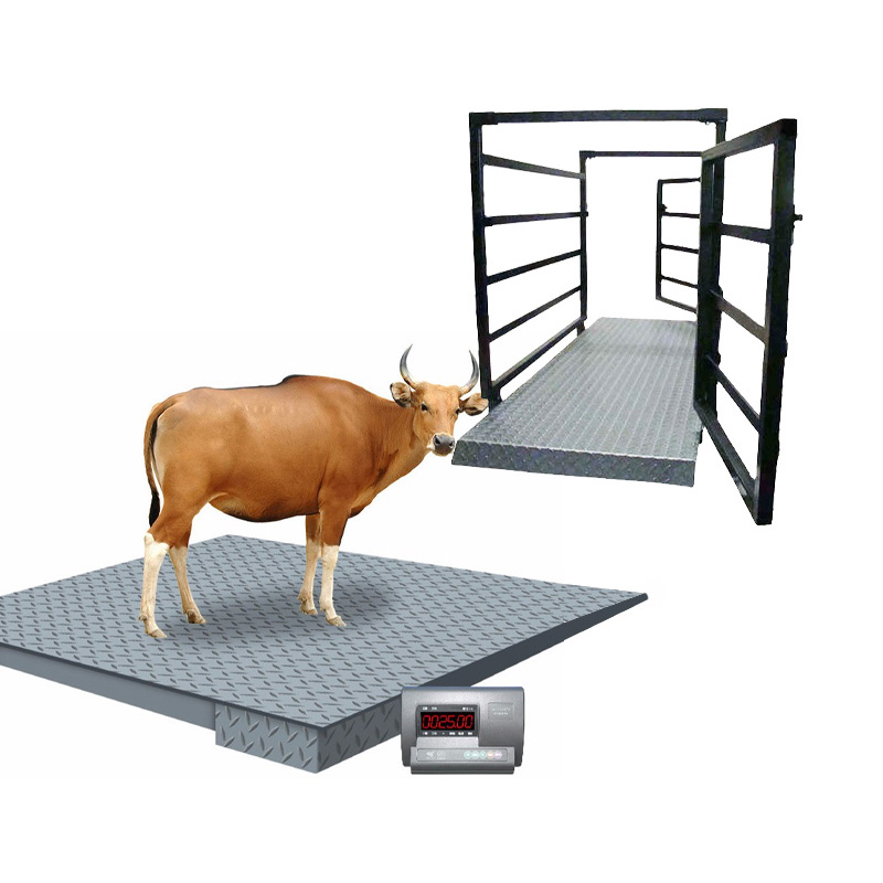 Báscula para ganado: qué es y cómo funciona