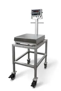 Floor or Table Scale