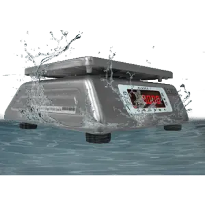 Washdown Scales