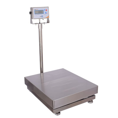 Floor or Table Scale